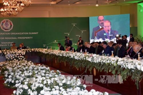 ECO summit suggests enhancing economic cooperation - ảnh 1